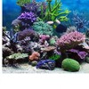 PVC Adhesive Underwater Coral Aquarium Fish Tank Background Poster Backdrop