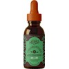 Herbs Etc. ChlorOxygen Chlorophyll Concentrate - Highly-Concentrated Energy Support -