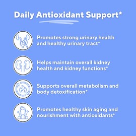 Organic Hydrangea Extract Capsules for Urinary Tract, Kidney, Antioxidant, Metabolism, Skin Health Support - 10:1 Ratio & 60 Veggie Capsules - Non-GMO, Gluten-Free, Vegan