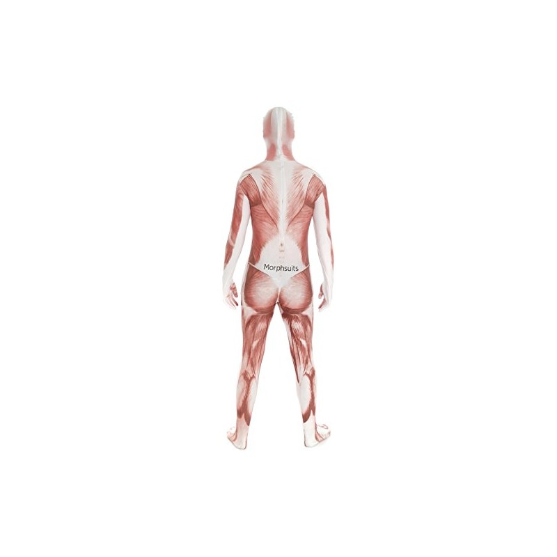 Morphsuits Men's Adult Costume, Muscle, Large