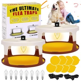 Flea Traps for Home Indoor, 2 Pack Flea Killer with 8 Sticky Pads & 8 Light Bulbs, Non-Toxic Pest Control for Fleas, Bed Bugs, Gnats, Spiders - Safe for Kids Pets