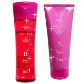 Number Three myuriamu B Shampoo 250ml & Treatment B G Set