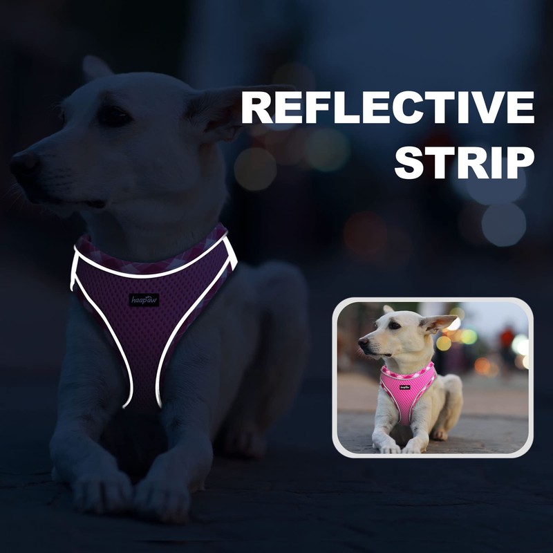 haapaw Dog Harness with Leash Set, No Pull Adjustable Reflective