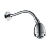 DOUBLUOEG Chrome 11.8 Inches Shower Head with Adjustable Shower Arm,