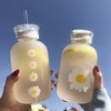 480ml Milk Juice Cute Water Bottle with Scale 2 Lids
