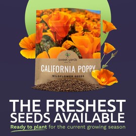 California Orange Poppy Wildflower Seeds - Bulk 1 Ounce Packet - Over 20,000 Native Seeds - California State Flower!
