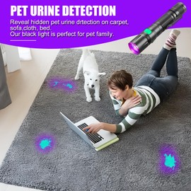 Black Light Flashlight, 2Pack UV Flashlights USB-C Rechargeable 8Hours Long-Lasting Pure Ultraviolet Light, Fluorescent Detector for Dog,Pet Urine Stains,Flowers Glows,UV Paint Glows,Hornworm