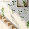 NUPTIO - Macetero para colgar en la pared, 6 unidades
