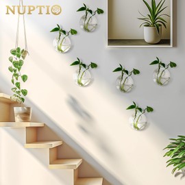 NUPTIO - Macetero para colgar en la pared, 6 unidades