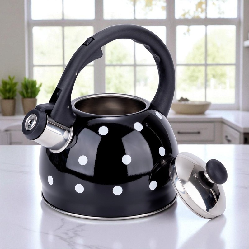 EliteHoff Stainless Steel Induction Kettle Small Tea Kettle for All