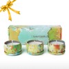 Tooarts| Scented Candle 100% Natural Soy Wax Long Last Clean