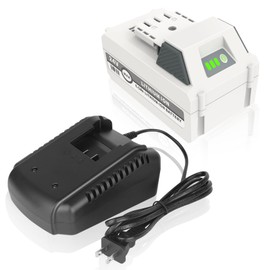 REACELL 24V 6.0Ah Battery and Charger Combo Compatible for SnowJoe, SunJoe iON+ Batteries, for 24VBAT-LTX 24VBAT-LTW 24VBAT-LTE 24VBAT-XR Battery with Charger