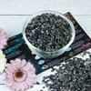 Crocon Crocon 1LB Crushed Larvikite Chips Bulk Stone 2000+ Carats