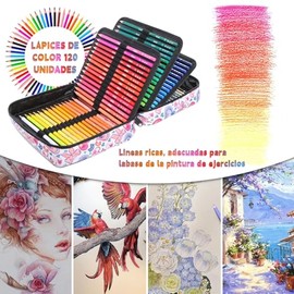 lapices de colores profesionales，colores profesionales para dibujo，estuche colores，120 Lápices de Colores para Colorear Dibujo Esbozos, Núcleo blando, Numerados, con Cremallera Estuche.