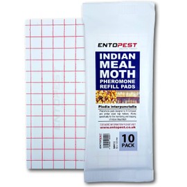 Entopest Pantry Moth Traps | Pheromone Trap Pad x10 Refill Pads for Kitchen, moth traps for house, Room & Void Control Treatments | pantry moth traps with pheromones