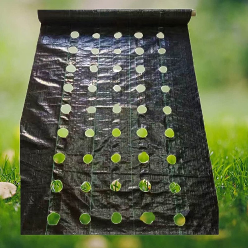 Agfabric Weed Barrier Landscape Fabric 4x6ft with Planting Holes, Hole