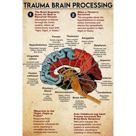 Seeyoo Retro Tin Sign - TRAUMA BRAIN PROCESSING - Vintage-Inspired Metal Wall Art for Home, Bar, Cafe, or Office Decor - Unique and Thoughtful Gift for Family, Friends, or Colleagues