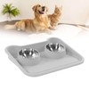 Cat Water Food Bowl 15 Degree Tilt Prevent Spill Stainless