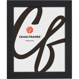 Craig Frames Essentials, 29x32 Large Poster Frame, 1" Wide, Wall Hanging, Dual Display Format, Mystic Satin Black