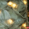 myCozyLite LED String Lights Plug in, Globe String Lights Indoor