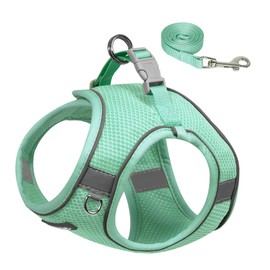 AIITLE Small Dog Harness, No-Pull Cat Harness with a Leash, Step in Adjustable Puppy Harness with Quick-Release Buckle, Reflective Outdoor Pet Vest for Extra Small Dogs and House Cats Turquoise XXS