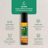 Wintergreen Roll Dolor Cabeza Músculos Descongestión Aceites Esenciales Puros Menta