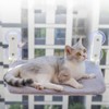 Foldable Cat Window Hammock with Dual Heavy-Duty Suction Cups -