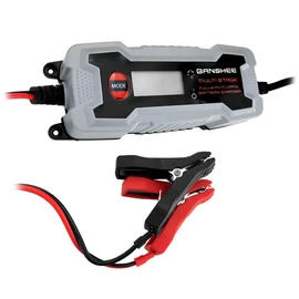 LCD Display Automatic Smart Battery Charger - 2 Year Warranty