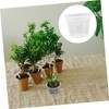 BESPORTBLE 10pcs Orchid Pots Drainage Holes Flower for and Cactus