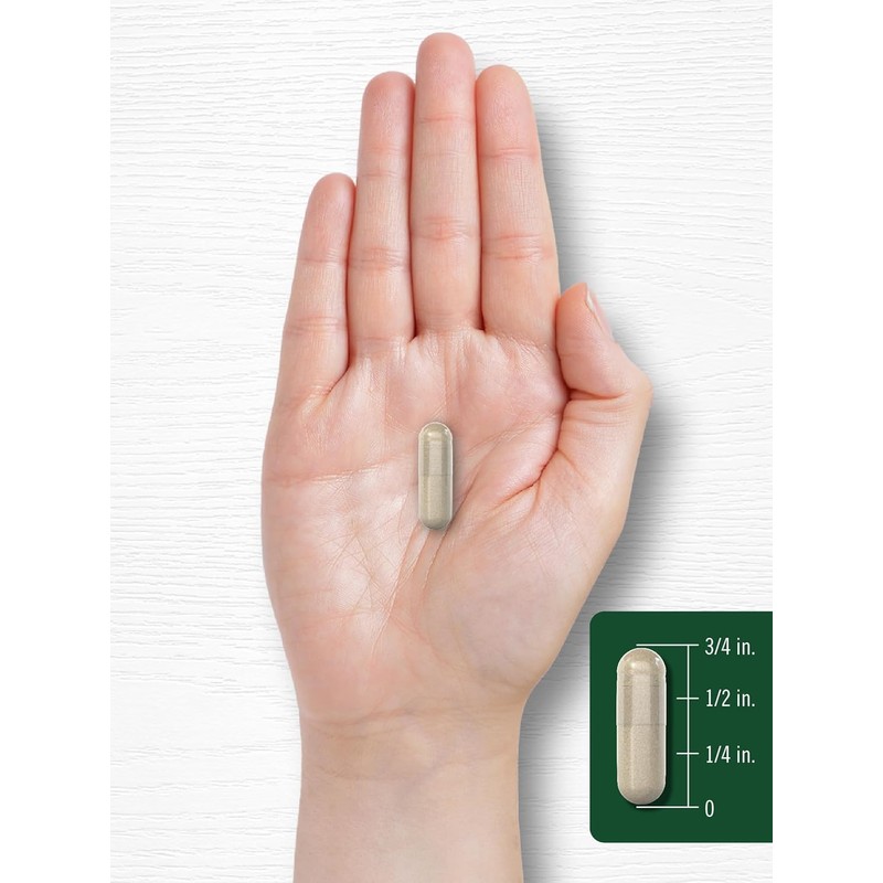 Milk Thistle 2000Mg | 180 Capsules | with Dandelion &