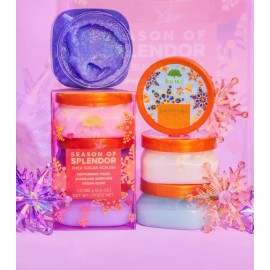 Tree Hut Season of Splendor Gift Set 2024
