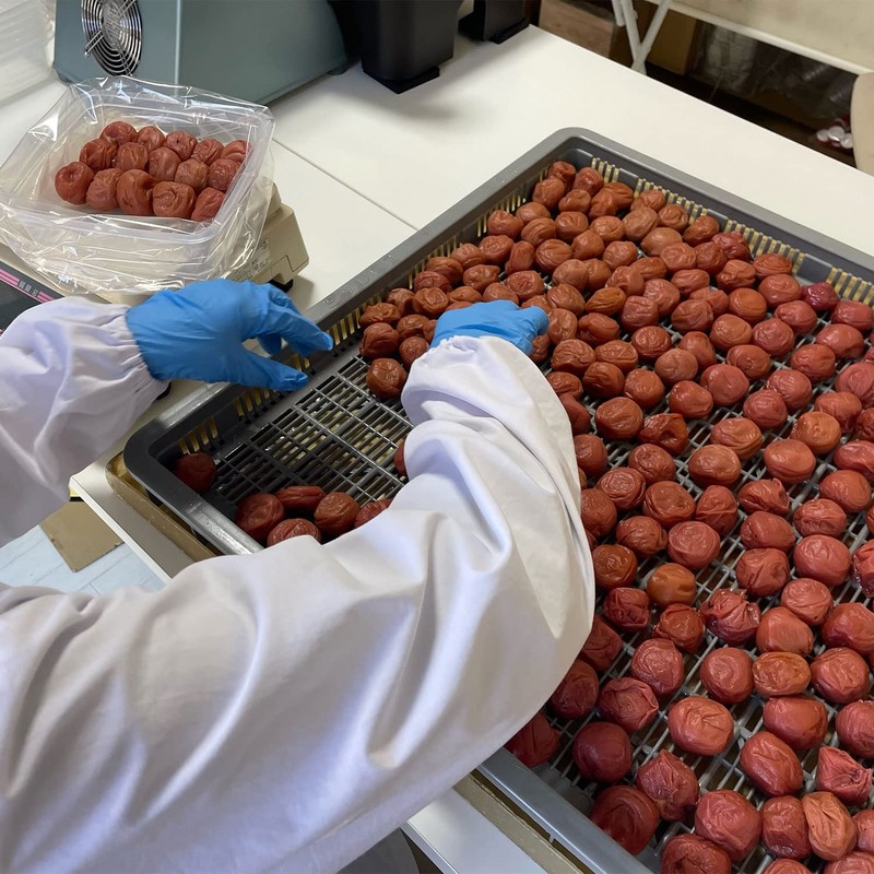 和歌山県産 紀州南高梅 塩分20％ 昔ながらの すっぱい しょっぱい 梅干し 無添加 うす皮 4Lサイズ