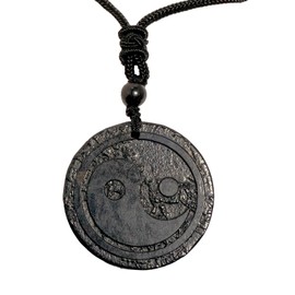 RICHRAIN Shungite Necklace Shungite Stone Pendant Crystal Protection Healing Crystals for Women Men (Yin yang)