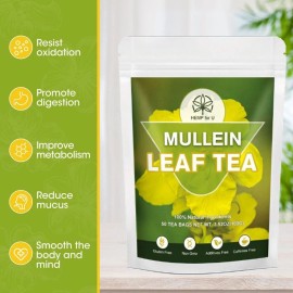 Hemp for U (2 Pack) HFU Natural Mullein Leaf Tea, Made with 100% Mullein Leaves for Health