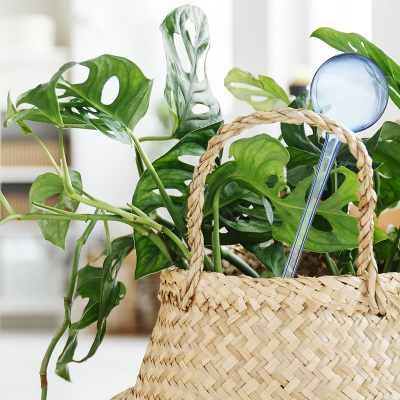 Relaxdays Plant Watering Globes Set, 2-Week Reservoir for Potted Plants,