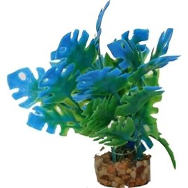 Blue Ribbon Pet Products CB-2111 1.25 x 1.25 x 3.25 in. Color Burst Florals Philo Leaf