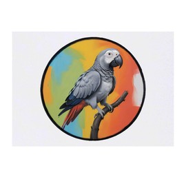 'African Grey Parrot' Temporary Tattoo - Water Resistant, Skin-Safe, Non-Toxic Transfer (TO00079383)