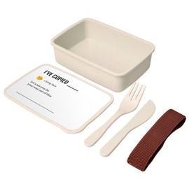 Fabulous Lunch Box Lunchbox mit Besteck, Weiß – I've Copied Work Office Email Funny Icon – 700 ml