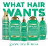 OGX Active Beauty Green Tea Fitness Shampoo, 13 Ounce (1
