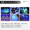 Lightfe UV Light for Resin, Curing Light, Ultraviolet Light UV
