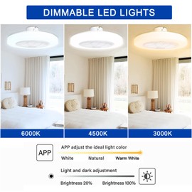 TCFUNDY Enclosed Low Profile Ceiling Fan with Light, Bluetooth Speaker, Dimmable LED Lighting, 22", 6 Wind Speeds Reversible Blades, App & Remote Control, Semi Flush Mount Fan