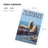 Lantern Press 1000 Piece Jigsaw Puzzle, Monterey, California, Sea Lions