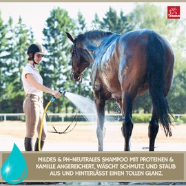 EMMA Horse Shampoo for Dogs Horses 500 ml I Mild Horse Shampoo PH Neutral Chamomile I Horse Care Shiny Coat I Dog Shampoo Against Odour I Mane n Tale Shampoo I Grooming Sensitive