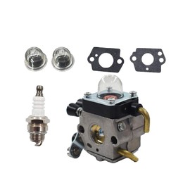 AISENPARTS Carburetor for Stihl HS45 Hedge Trimmer FS38 FC55 FS310 C1Q-S169B