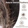 Ostrich Feather Duster 16.5-47Inch Reusable Fluffy Natural Detachable Ostrich Feather