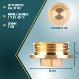 Poppstar 2 x Brass Plugs 1 Inch Male Thread (BSP G 1 Inch (33.3 mm), up to 50 bar, 19 mm Hexagonal)