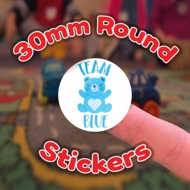 Stone Melon Gender Reveal Baby Shower Stickers 144 Team Blue Pink Bear Teddy Stickers 30mm Round Boy Girl
