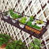 Saim Balcony Window Plant Shelf,Iron Flower Pot Hanger 23.5 Inches