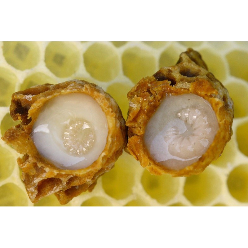 Pure Herbs: Three Bees - 1 oz.