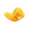 Tree Buddhas Hand (Fingered Citron) Tree - 12-15" Tall -
